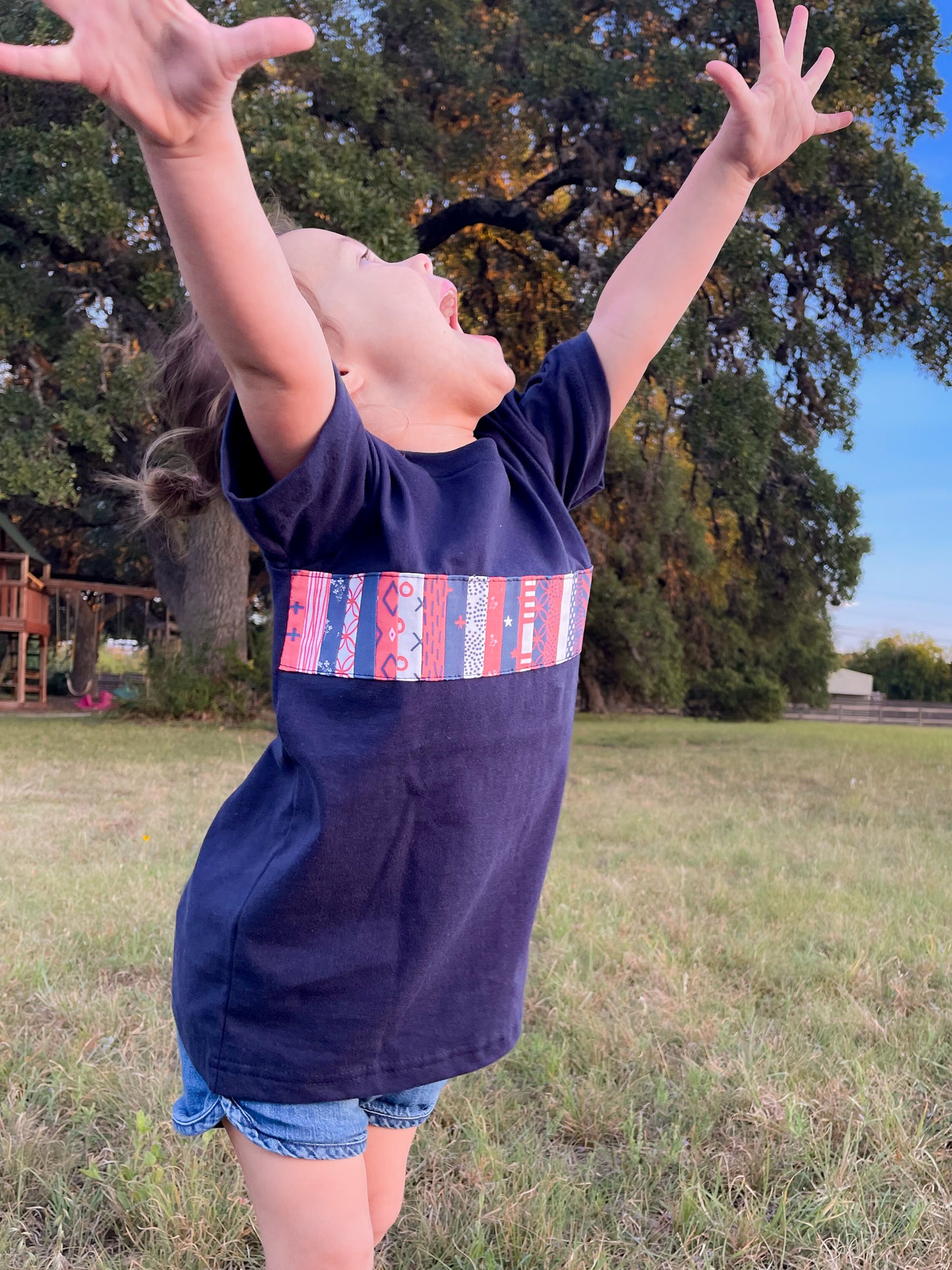 Star Spangled Quiltlet